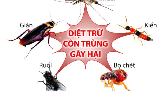 con-trung-cac-loai-hay-gap-678x381-1